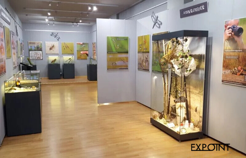 Přírodní expozice s různými druhy vitrín a výstavních panelů